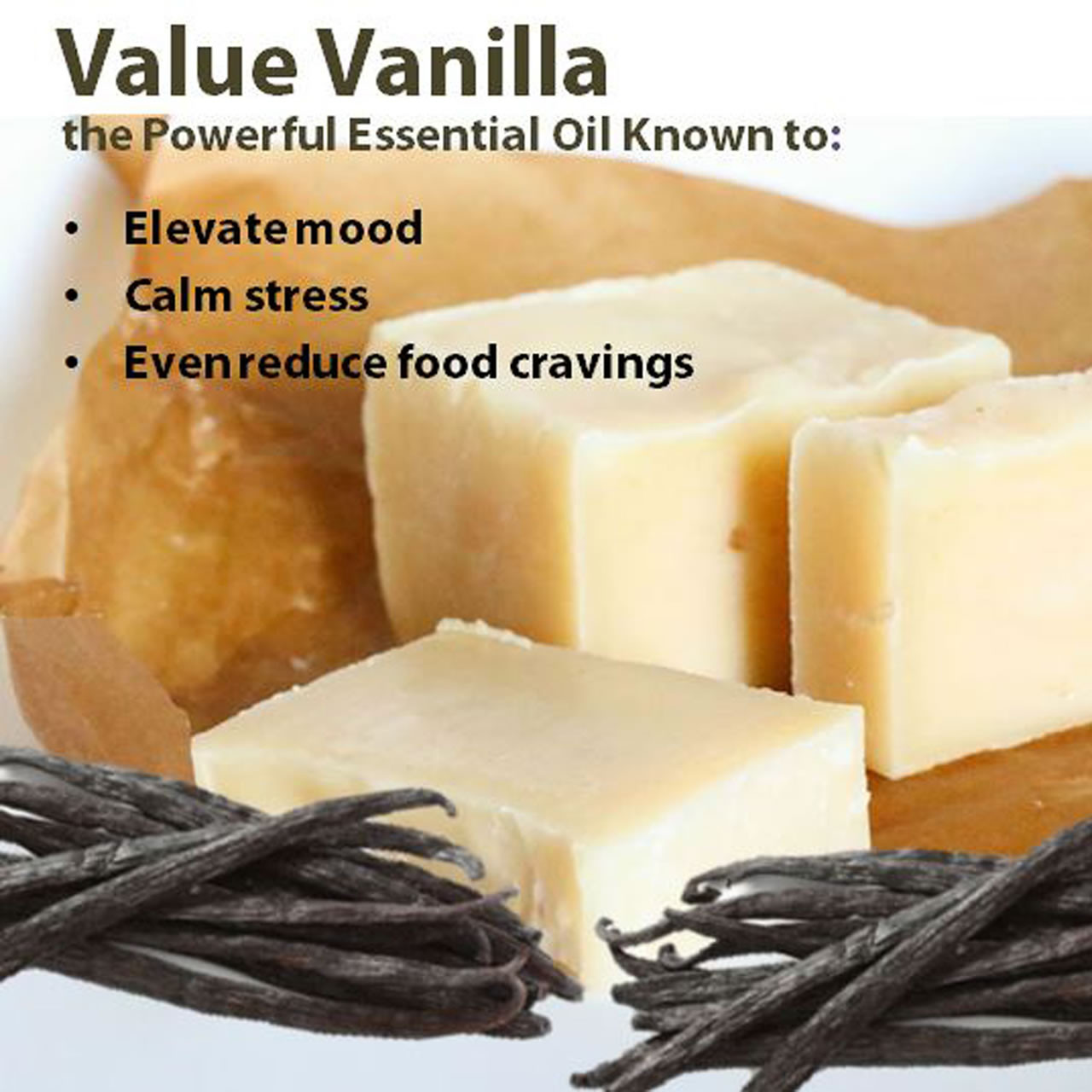 Vanilla Bean Tallow Balm - Natural Skin Care - 9 fl. oz.
